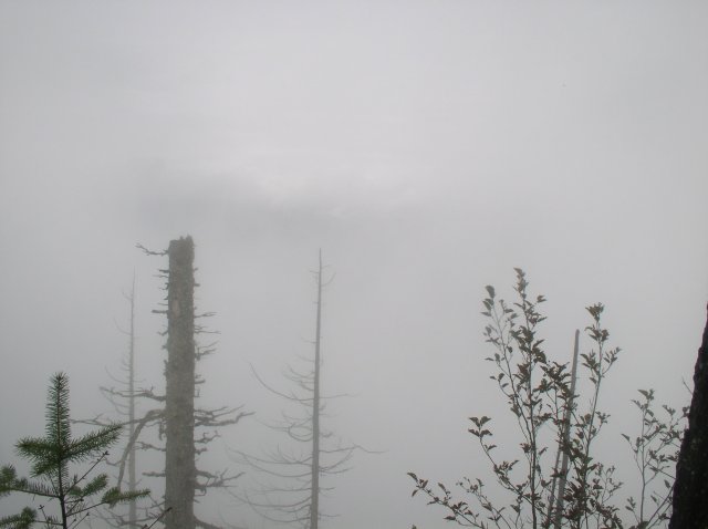 10.28.05 Devil's Rest 072 